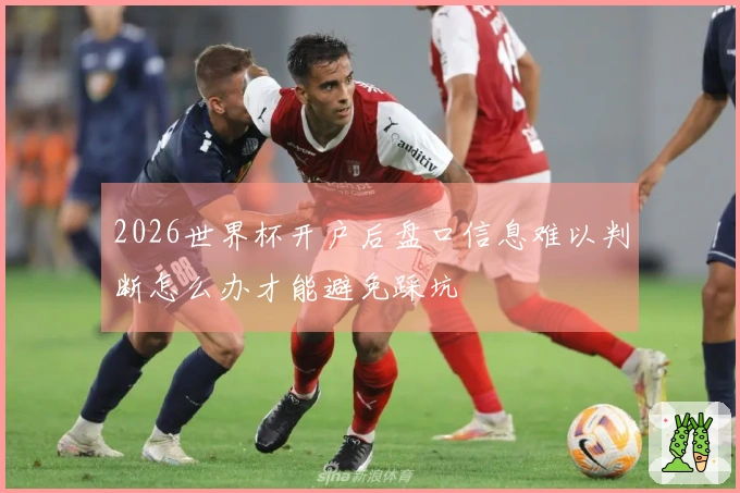 2026世界杯开户后盘口信息难以判断怎么办才能避免踩坑